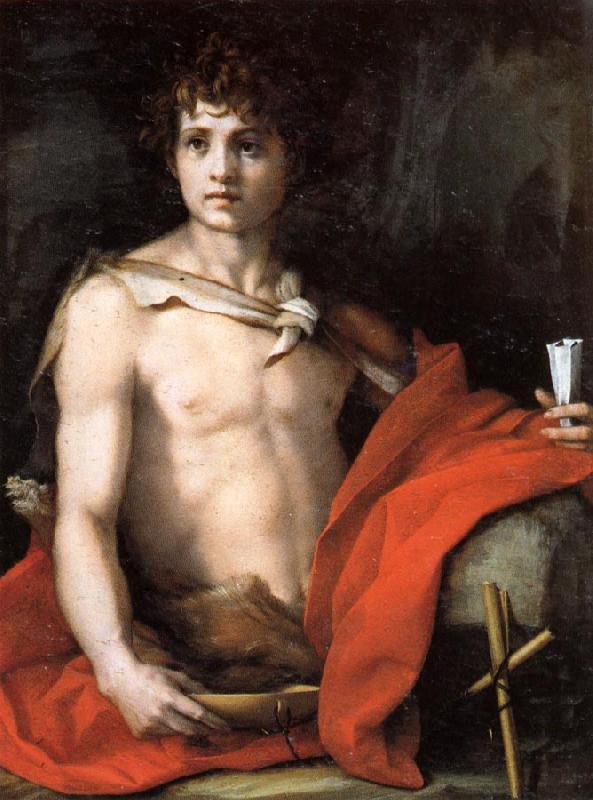 Andrea del Sarto The Young St.John oil painting image